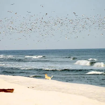 White Pearl 3.03 Lägenhet Timmendorfer Strand